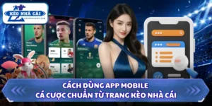 Cách Dùng App Mobile Cá Cược Chuẩn Từ Trang Kèo Nhà Cái 11 Cách dùng app mobile