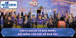 Giải V.League Có Bao Nhiêu Đội Bóng Góp Mặt Để Đua Tài? 15 Giải V.League có bao nhiêu đội