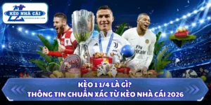 Kèo 1 1/4 Là Gì? Thông Tin Chuẩn Xác Từ Kèo Nhà Cái 2026 7 Kèo 1 1/4 là gì