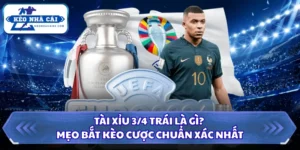 Tài Xỉu 3/4 Trái Là Gì? Mẹo Bắt Kèo Cược Chuẩn Xác Nhất 12 Tài Xỉu 3/4 Trái là gì