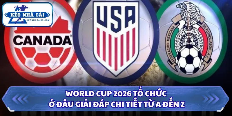 World Cup 2026 Tổ Chức Ở Đâu Giải Đáp Chi Tiết Từ A Đến Z 1 World Cup 2026 tổ chức ở đâu
