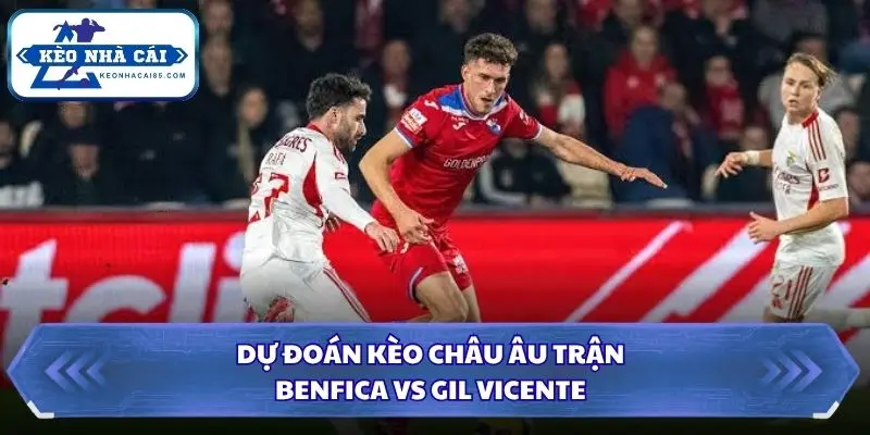 Soi Kèo Nhà Cái Benfica vs Gil Vicente Lúc 00h00 Ngày 14/09/2026 - Liga Portugal 3 Soi kèo nhà cái Benfica vs Gil Vicente qua kèo châu Âu