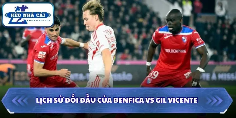 Soi Kèo Nhà Cái Benfica vs Gil Vicente Lúc 00h00 Ngày 14/09/2026 - Liga Portugal 2 Soi kèo nhà cái Benfica vs Gil Vicente qua đối đầu gần đây