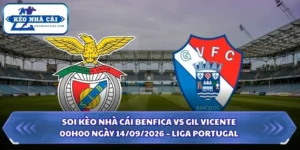 Soi kèo nhà cái Benfica vs Gil Vicente
