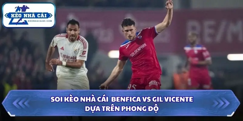 Soi Kèo Nhà Cái Benfica vs Gil Vicente Lúc 00h00 Ngày 14/09/2026 - Liga Portugal 1 Nhận định phong độ gần đây của 2 đội